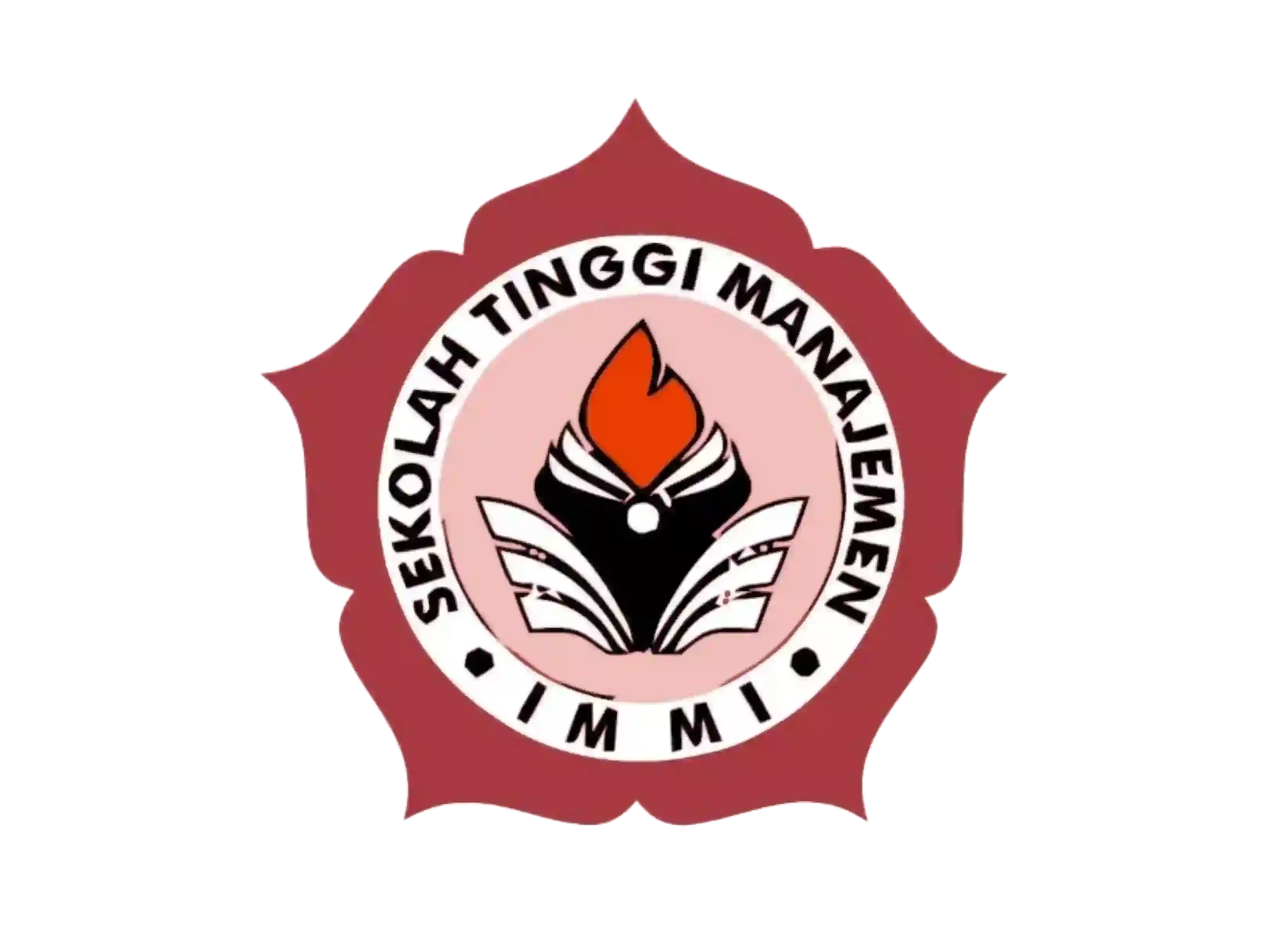 STIMI IMMI (1)